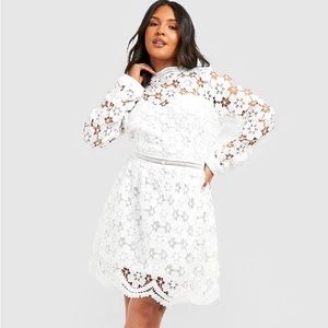 Beautiful lace skater dress never worn